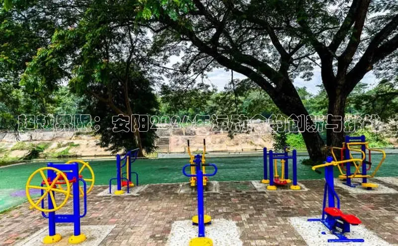 xc体育因您更精彩