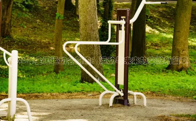XC体育